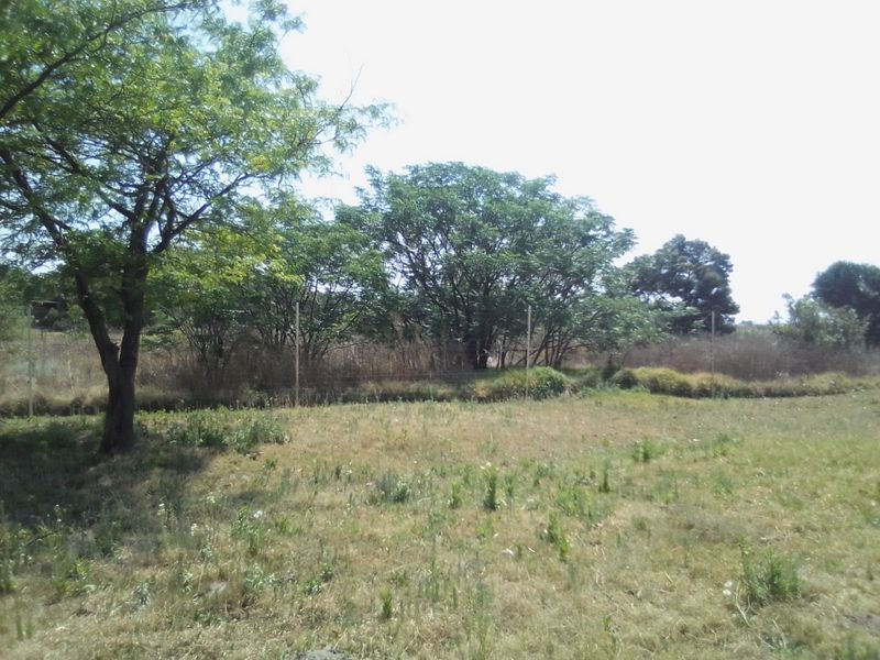 An open, grassy farm garden area featuring mature trees and perimeter wire fencing.