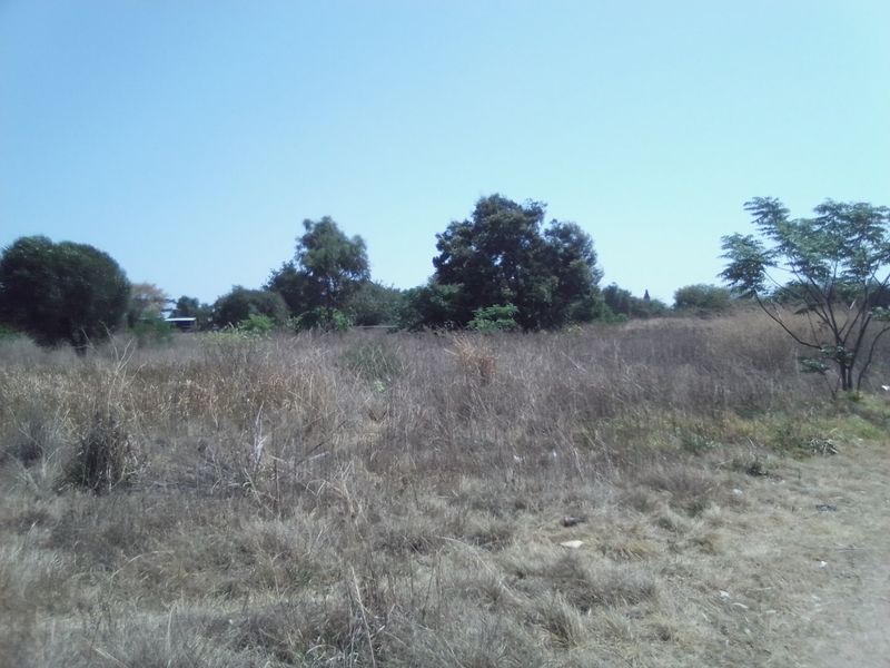 An expansive, undeveloped plot of land featuring dry grass and mature trees, offering a blank canvas for potential agricultural or residential development.
