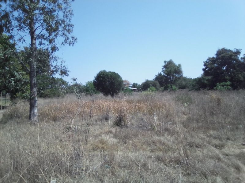 A view of an undeveloped farm plot featuring dry grass, mature trees, and perimeter fencing.