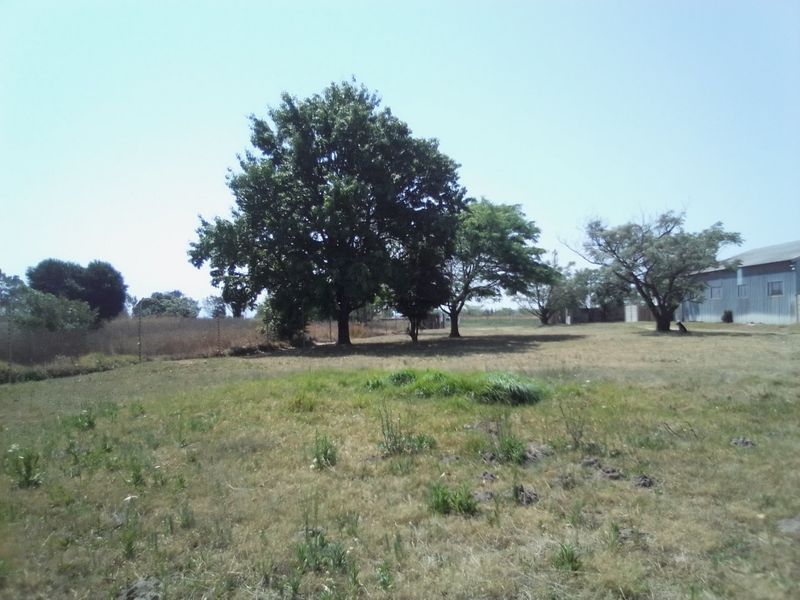 A wide-angle view of the farm grounds featuring mature trees and open grassy areas with a metal-clad structure visible in the background.
