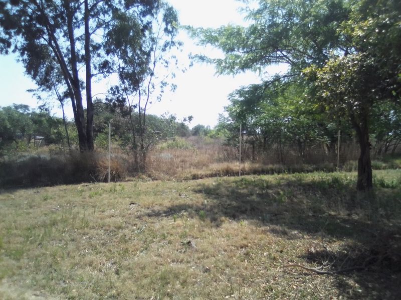 A view of an undeveloped farm garden area featuring mature trees and wire perimeter fencing.
