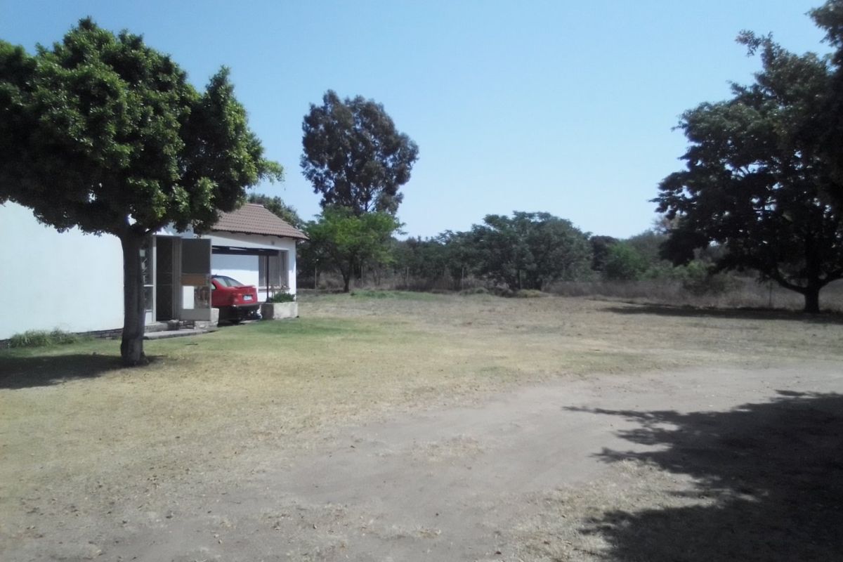 A view of the rear exterior of the farm property, featuring a large open yard, mature trees, and a tiled roof structure.