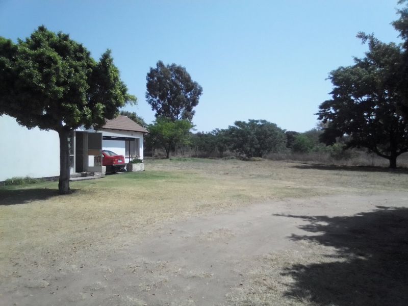 A view of the rear exterior of the farm property, featuring a large open yard, mature trees, and a tiled roof structure.