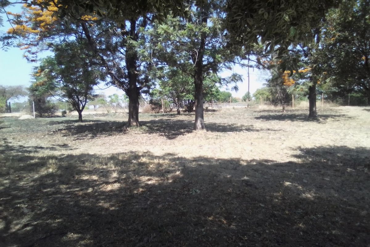 FOUR HECTRARES FARM FOR SALE - Photo 3