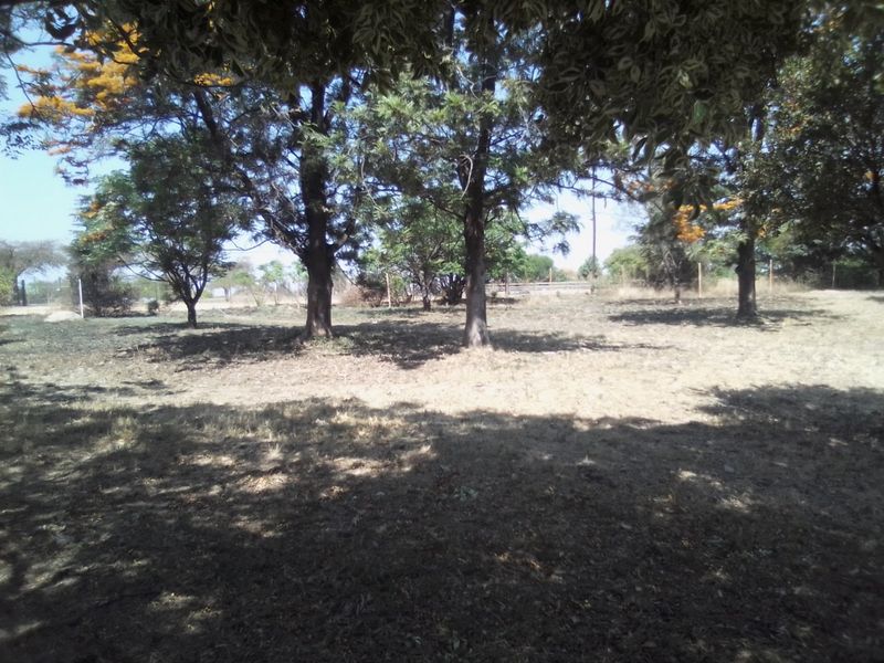 FOUR HECTRARES FARM FOR SALE - Photo 3