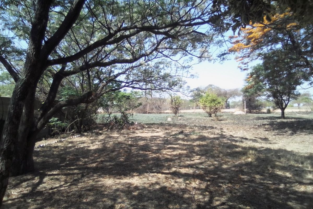 FOUR HECTRARES FARM FOR SALE - Photo 5