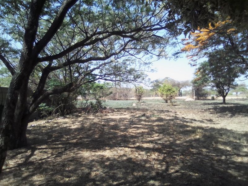 FOUR HECTRARES FARM FOR SALE - Photo 5