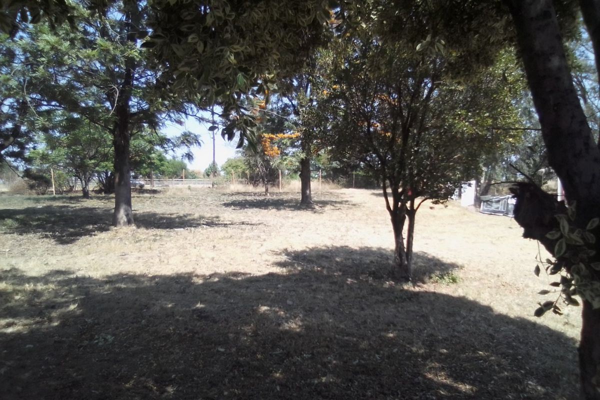 FOUR HECTRARES FARM FOR SALE - Photo 4