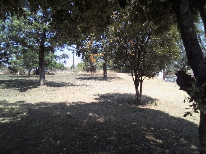 FOUR HECTRARES FARM FOR SALE - Photo 4