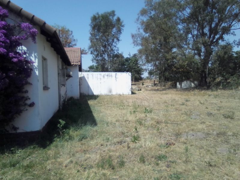 FOUR HECTRARES FARM FOR SALE - Photo 10