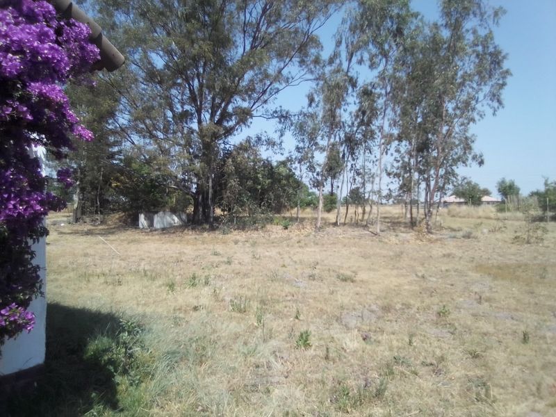 FOUR HECTRARES FARM FOR SALE - Photo 9