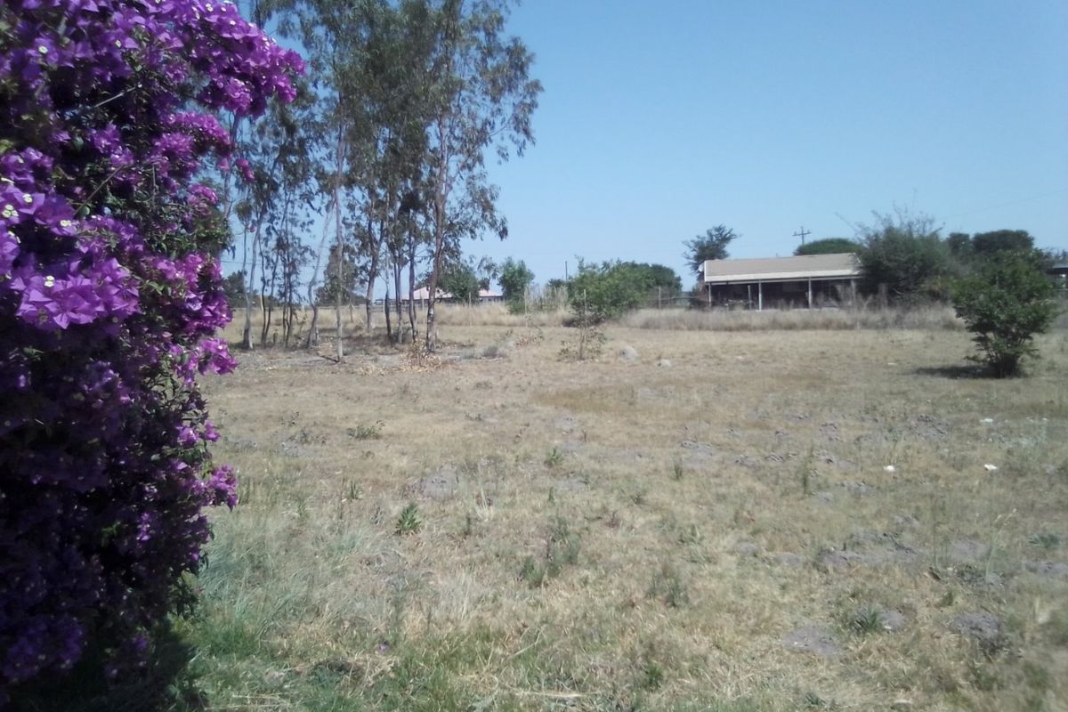 A view of an expansive, dry farm garden area with mature trees and a distant outbuilding structure.