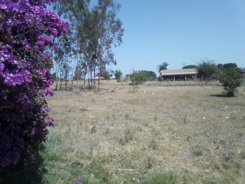 A view of an expansive, dry farm garden area with mature trees and a distant outbuilding structure.