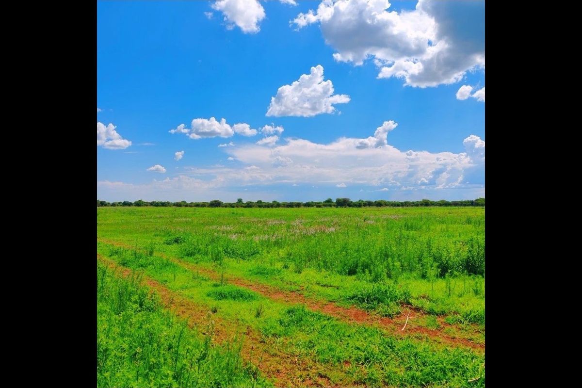 Farm for Sale in Bela Bela - Photo 4