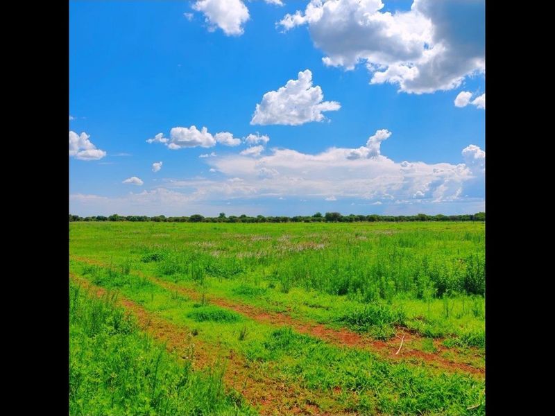 Farm for Sale in Bela Bela - Photo 4