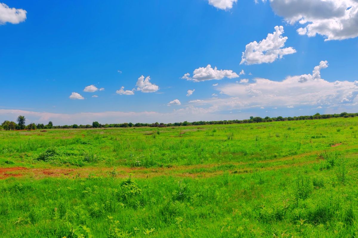 Farm for Sale in Bela Bela - Photo 3