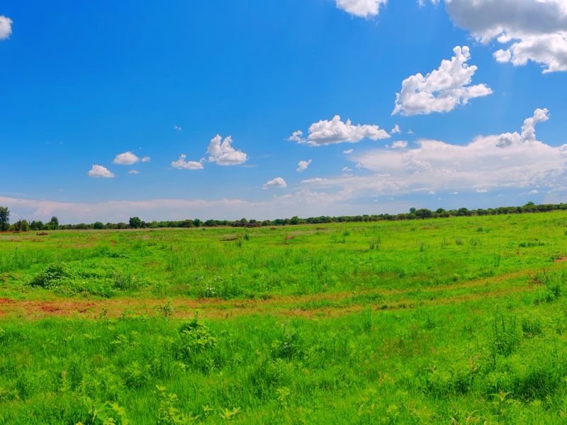 Farm for Sale in Bela Bela - Photo 3