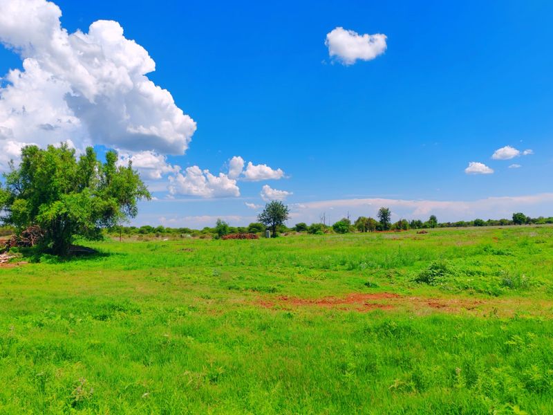 Farm for Sale in Bela Bela - Photo 6