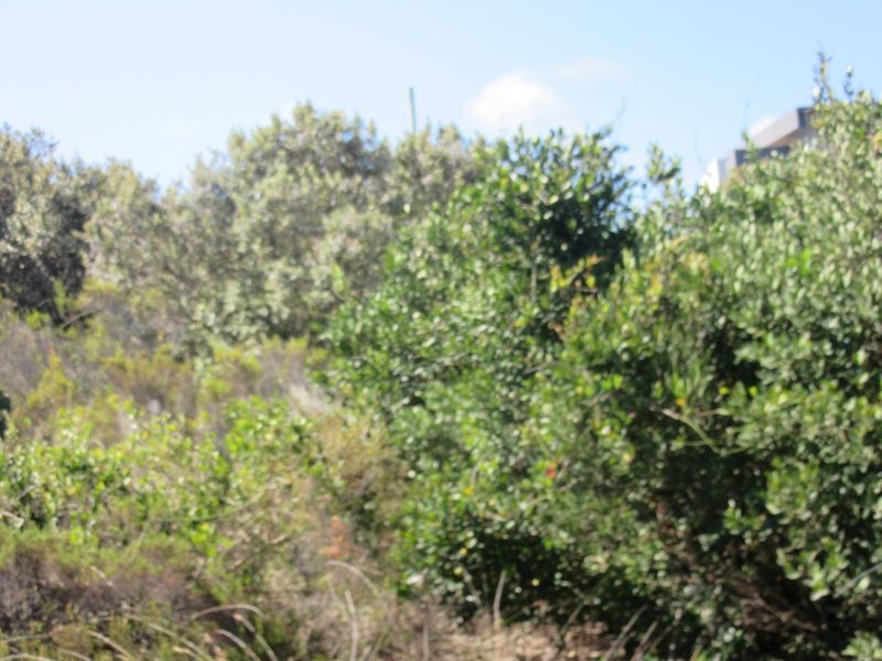 BEST VIEWS OF THE OCEAN! - Photo 4