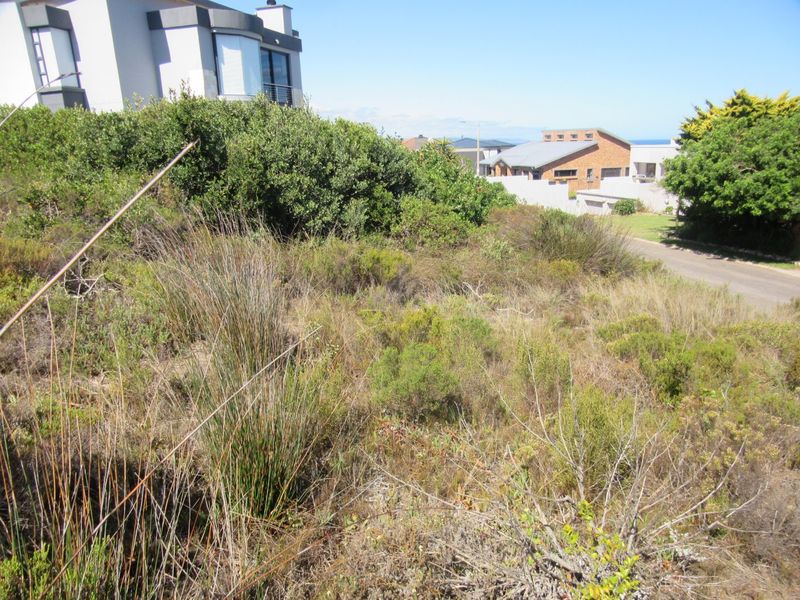 BEST VIEWS OF THE OCEAN! - Photo 9