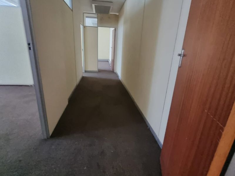 A vacant commercial hallway featuring carpeted flooring, partition walls, and a suspended ceiling with recessed lighting.