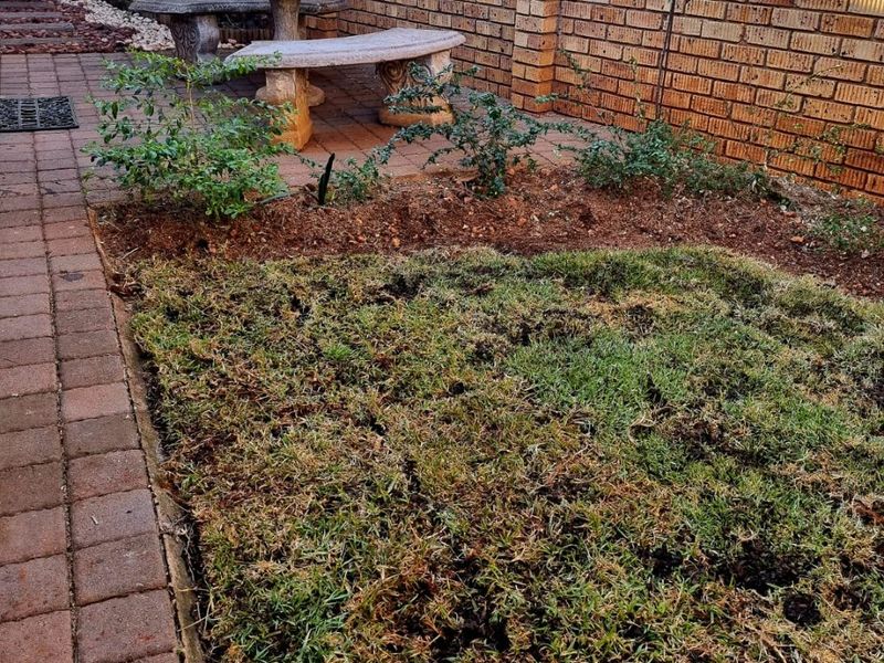 Modern Family Home With Solar, Office Space & Double Garage – A Perfect Move-In Ready Property - Photo 10