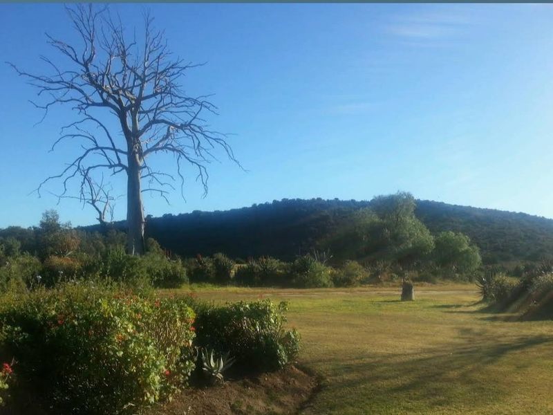 Plot In Bushman Sands Golf Estate - Alicedale - Photo 8