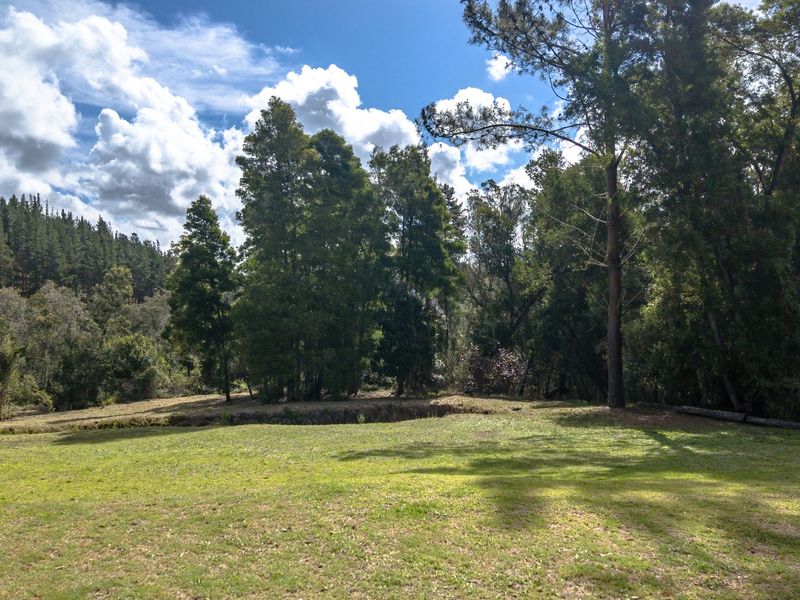 10ha Smallholding in Elandskraal - Photo 7