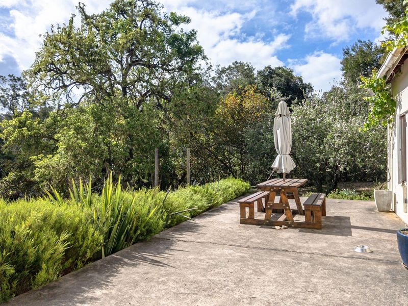 10ha Smallholding in Elandskraal - Photo 6