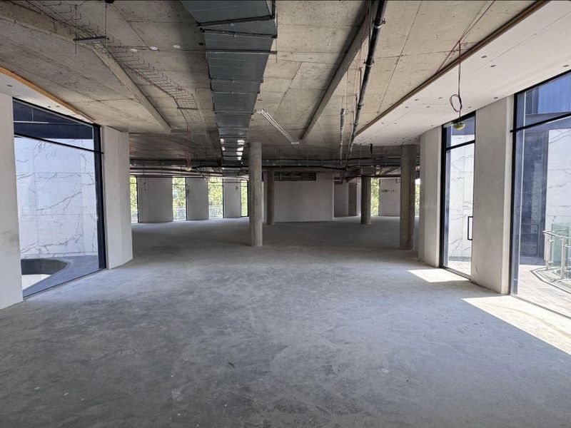 Prime P-Grade Office to rent at 52 Katherine Street, Sandton - Photo 5