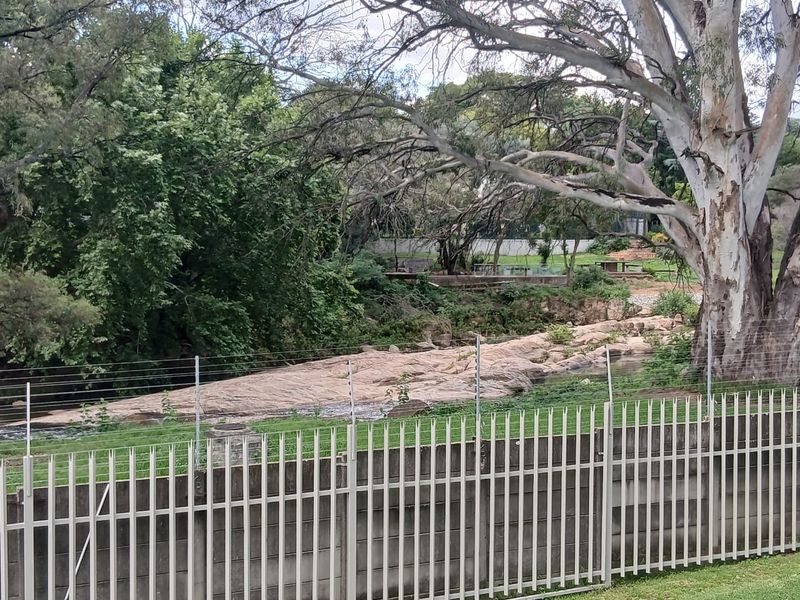 Luxurious 3-Bedroom Apartment in Morningside  - Photo 3