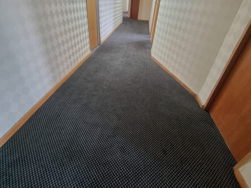 A commercial office hallway featuring patterned wallpaper, commercial carpeting, and multiple timber veneer doors leading to individual office spaces.
