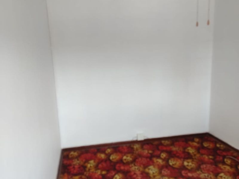 GOLDEN OLDIE IN BOTHASRUS UP FOR GRABS! - Photo 10