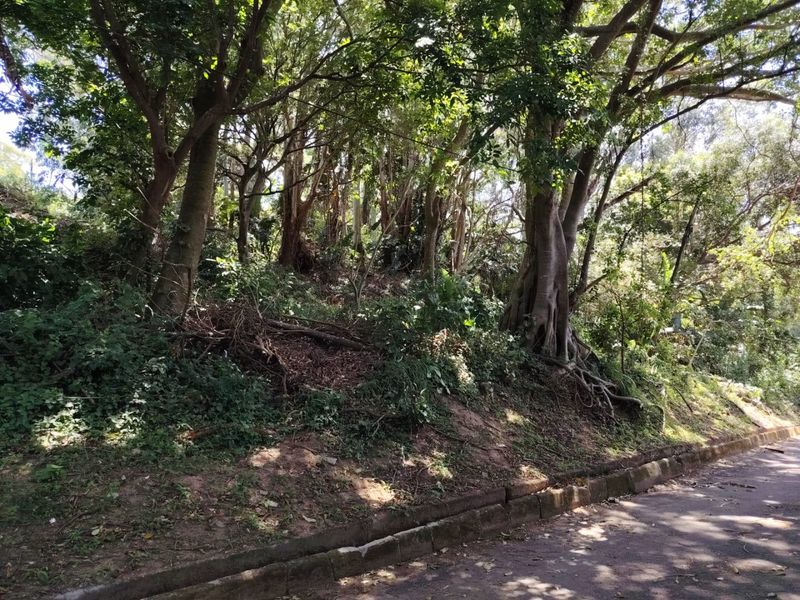 935m2 Vacant Stand In The Peaceful Suburb Of Southport  - Photo 2