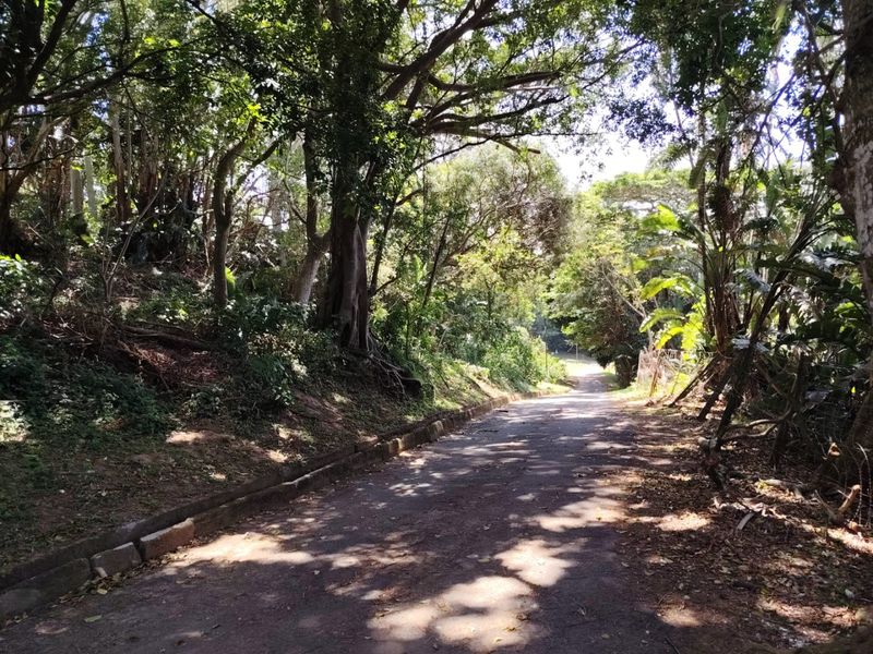 919m2 Vacant Stand In The Peaceful Suburb Of Southport  - Photo 2