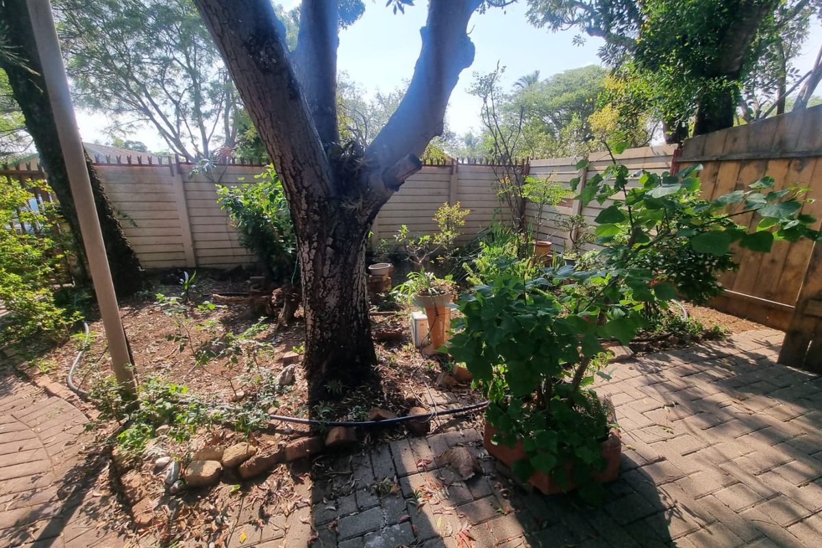 FOUR BEDROOM FREESTANDING HOUSE IN FAUNA PARK POLOKWANE! - Photo 4