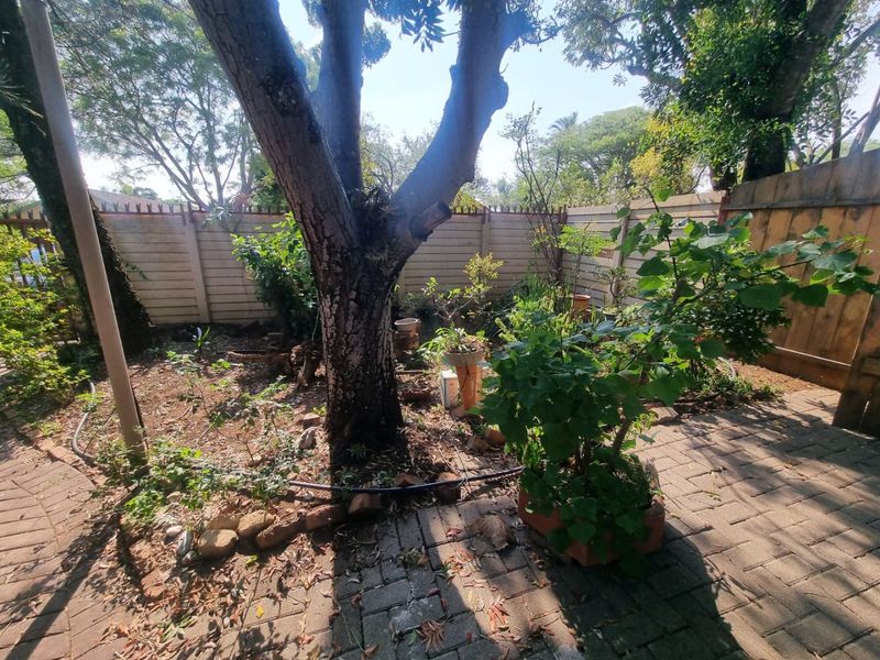 FOUR BEDROOM FREESTANDING HOUSE IN FAUNA PARK POLOKWANE! - Photo 4