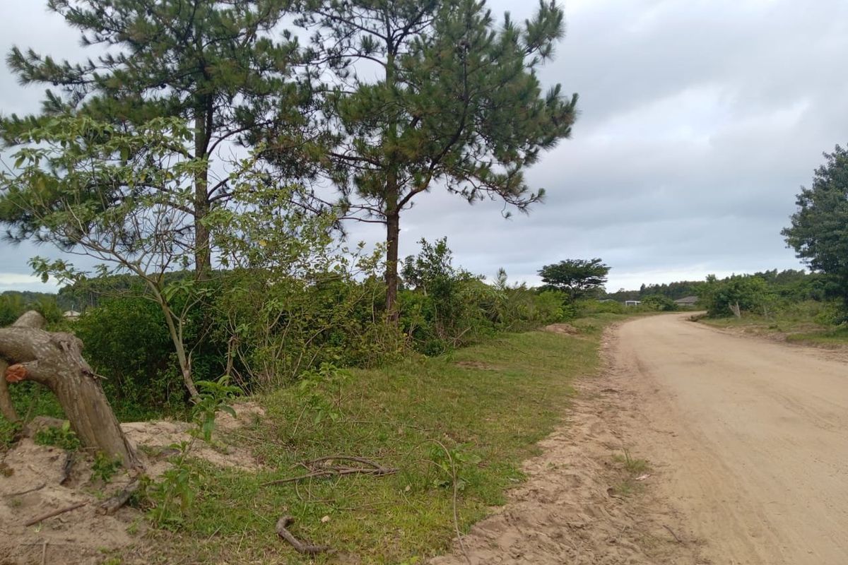 0 Bed Vacant Land in Esikhawini for Sale - Photo 3