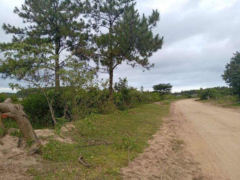 0 Bed Vacant Land in Esikhawini for Sale - Photo 3