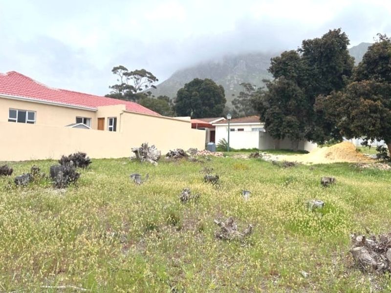 A vacant residential plot featuring cleared vegetation, tree stumps, and boundary walls, set against a mountain backdrop in a quiet neighborhood.