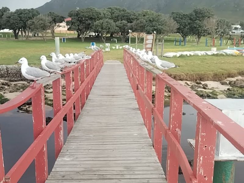 A wooden footbridge leading towards a scenic landscape with mountain views and surrounding parkland.
