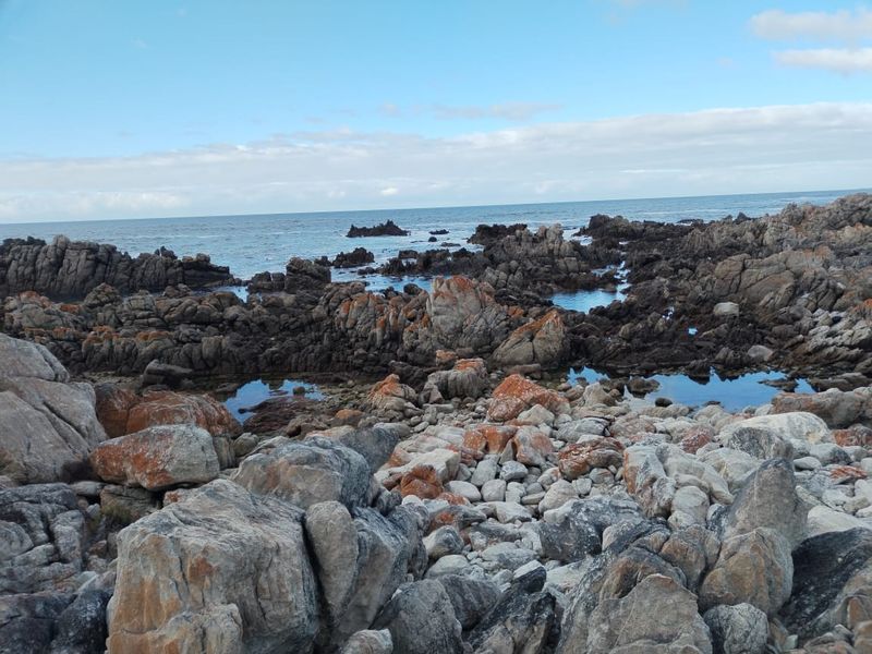 A scenic coastal view featuring rocky shoreline formations and tidal pools overlooking the ocean.
