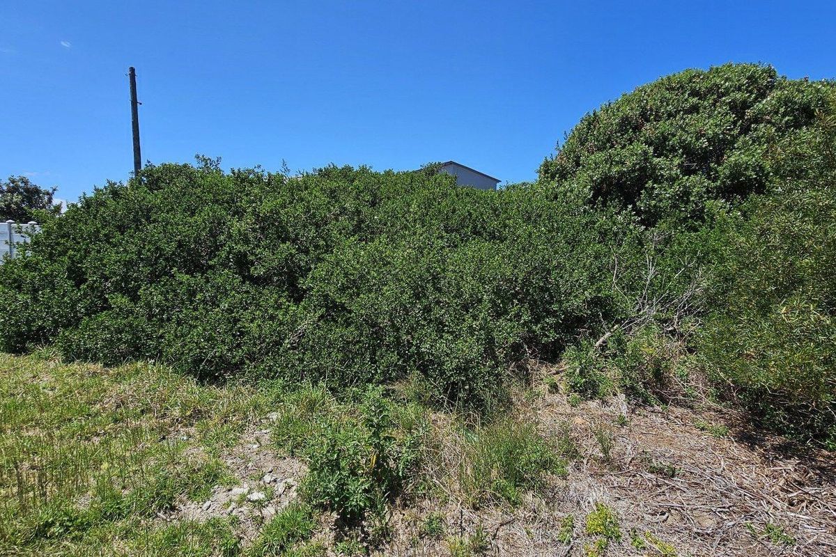 Spacious 768sqm Vacant Stand – Perfect for Your Dream Home - Photo 2