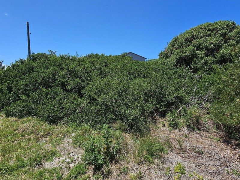 Spacious 768sqm Vacant Stand – Perfect for Your Dream Home - Photo 2