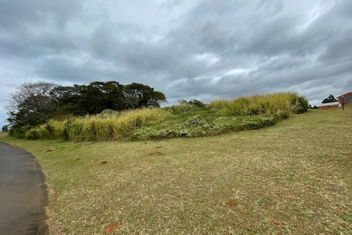 A view of a vacant residential plot featuring natural grassland and mature trees, situated adjacent to a paved road.