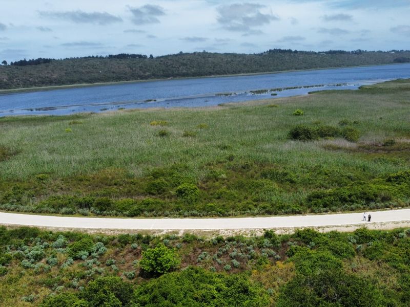 Prime 6.985 hectare Agricultural Opportunity! - Photo 4