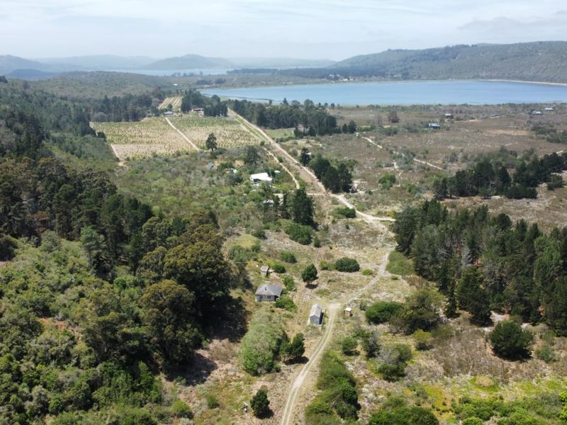 Prime 6.985 hectare Agricultural Opportunity! - Photo 10