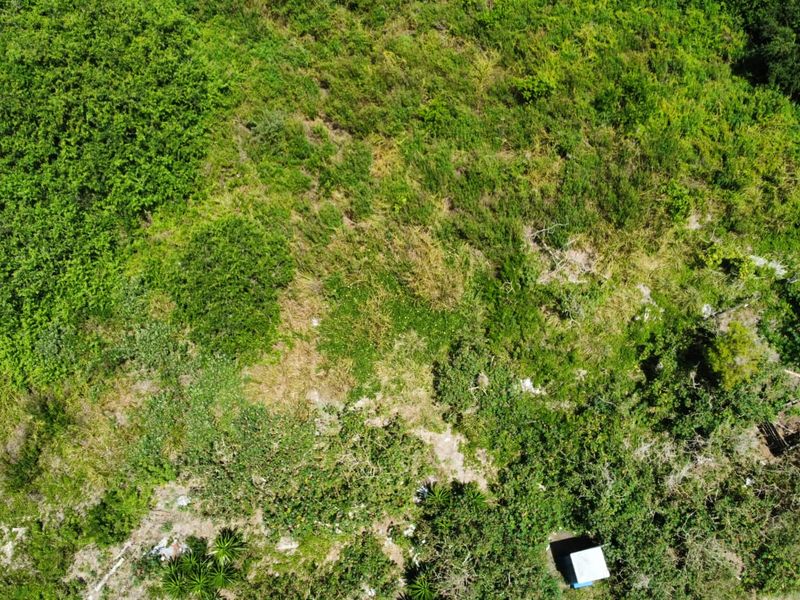Prime 6.985 hectare Agricultural Opportunity! - Photo 9
