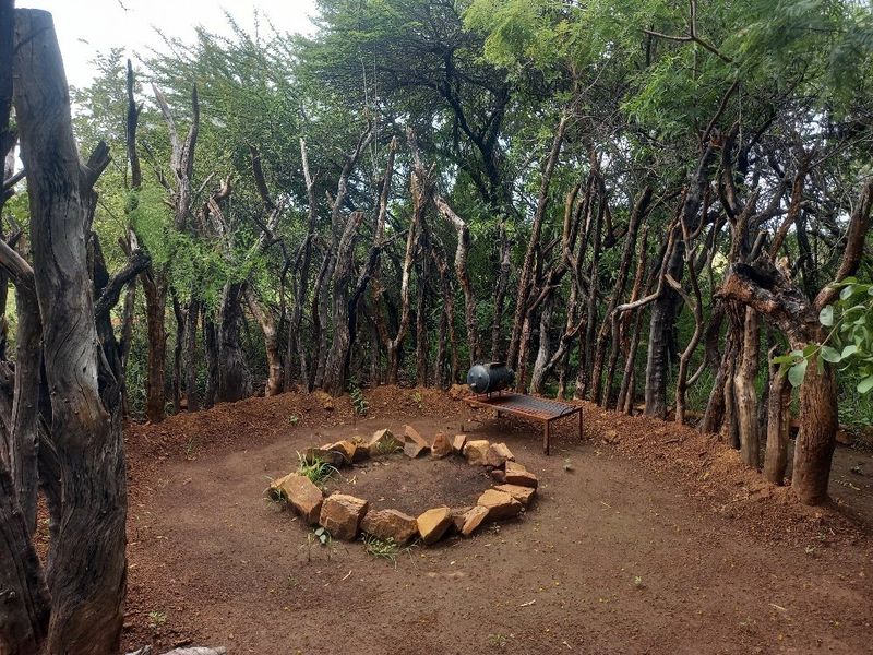 Established Bush lodge for sale in Dinokeng Big 5 reservation  - Photo 5