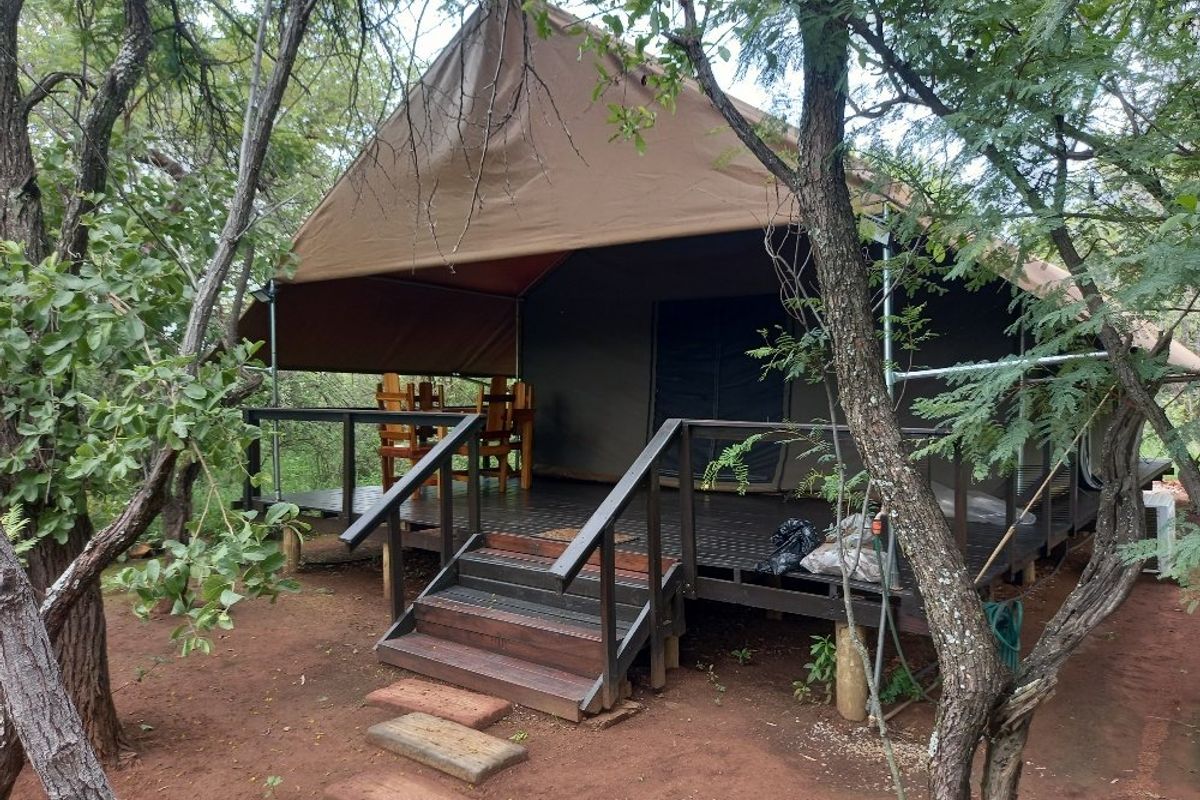 Established Bush lodge for sale in Dinokeng Big 5 reservation  - Photo 4